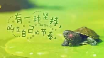 遇到平台被黑赢钱就各种理由不给出款到底怎么面对(图)