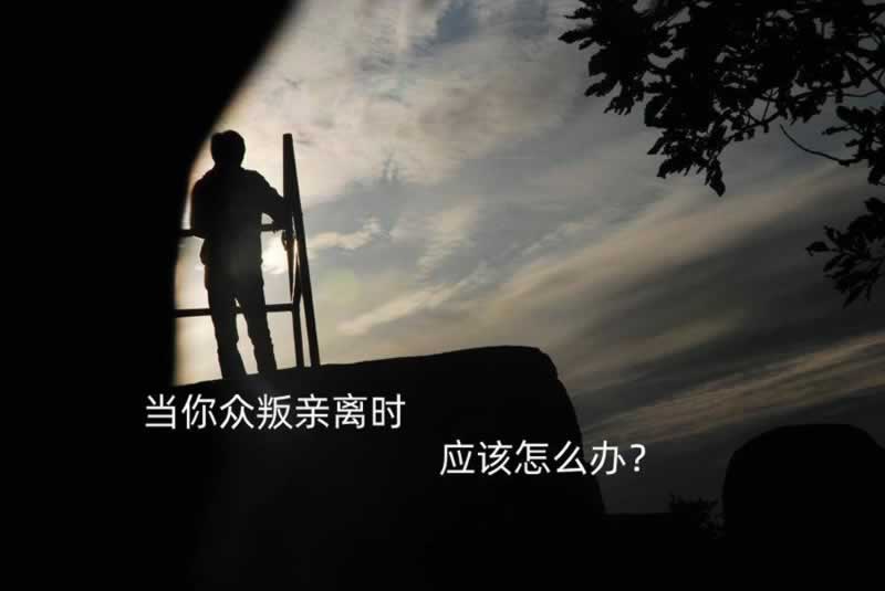 网上营前被黑无法提有什么办法解决(图)